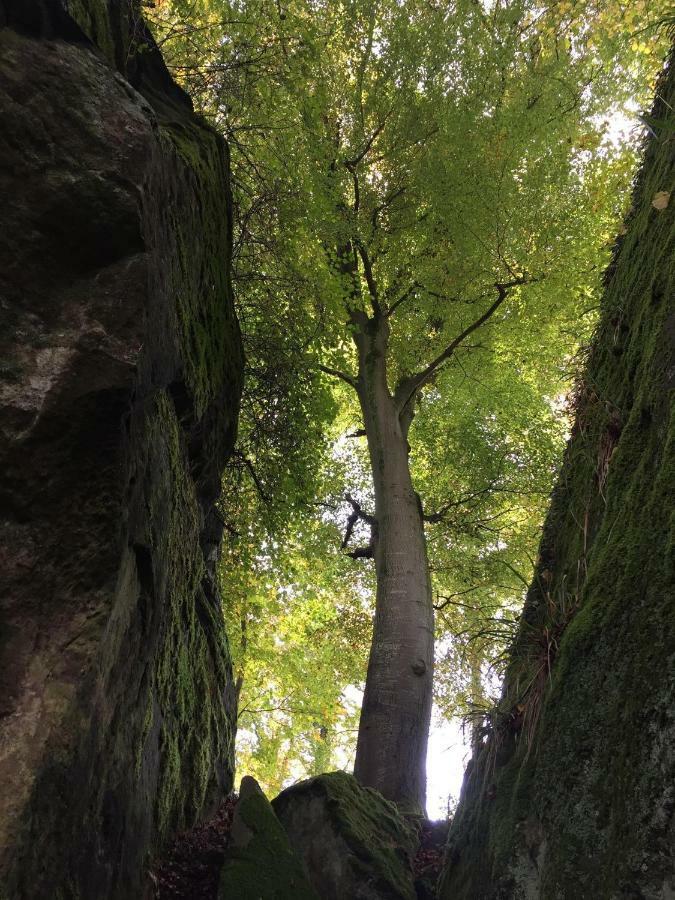 Pension Zum Golfstuebchen Echternacherbruck Esterno foto